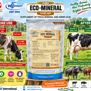 ECO - MINERAL