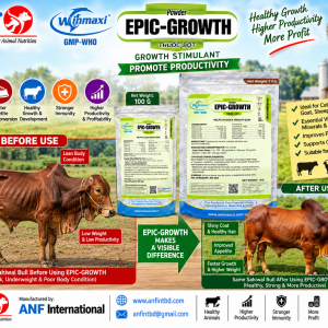 EPIC-GROWTH