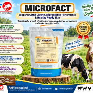MICROFACT