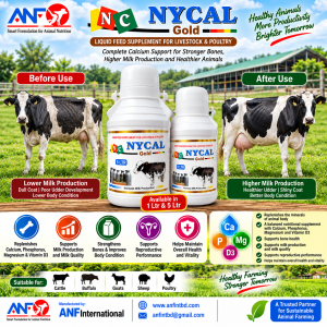 NYCAL GOLD