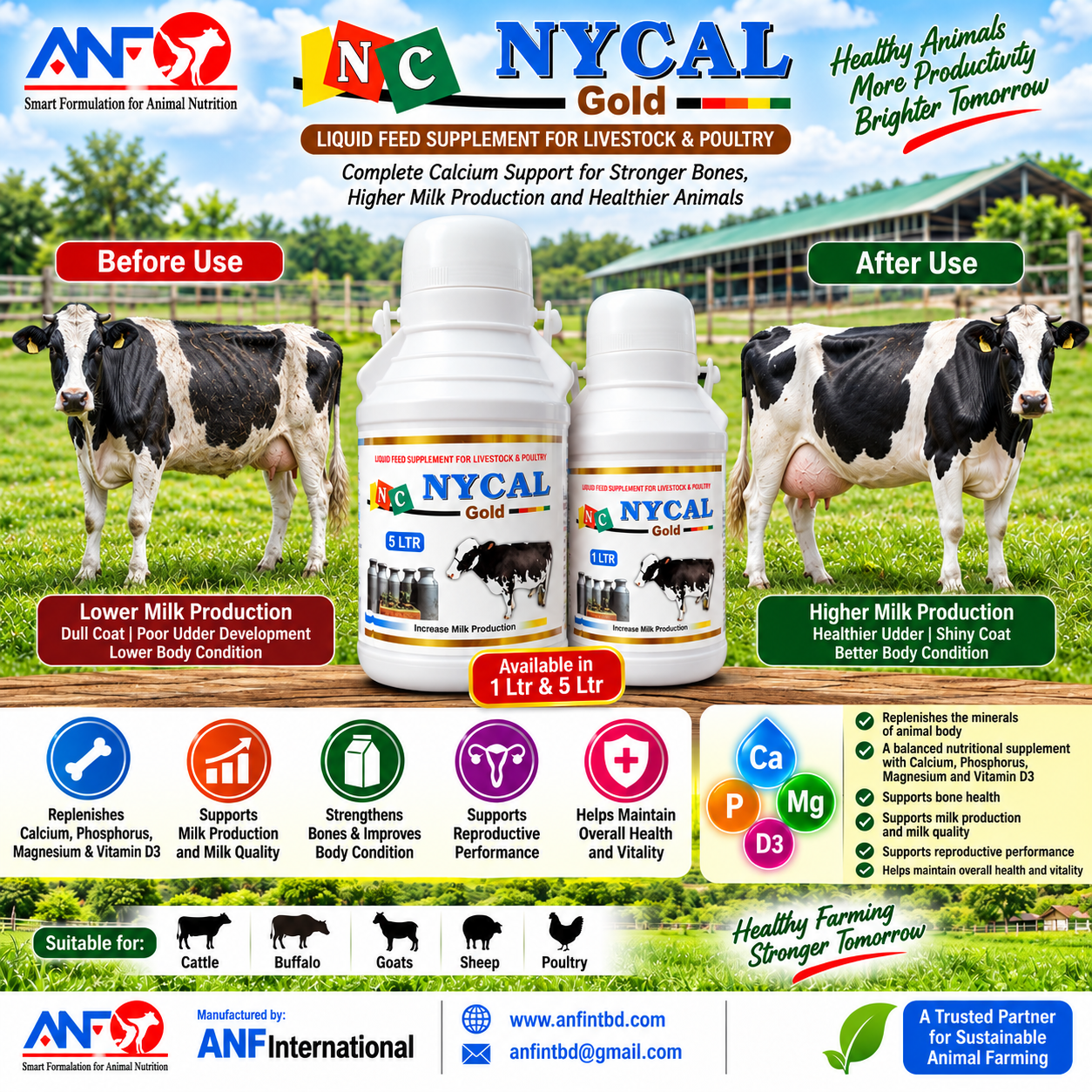 NYCAL GOLD