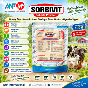SORBIVIT