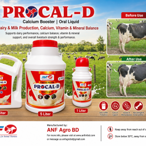 PROCAL-D ORAL Liquid